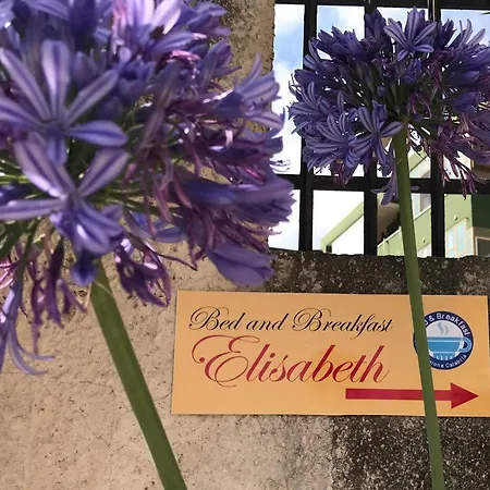 Elisabeth Panzió Tropea