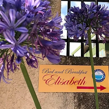 Bed & Breakfast Elisabeth Oda ve Kahvaltı